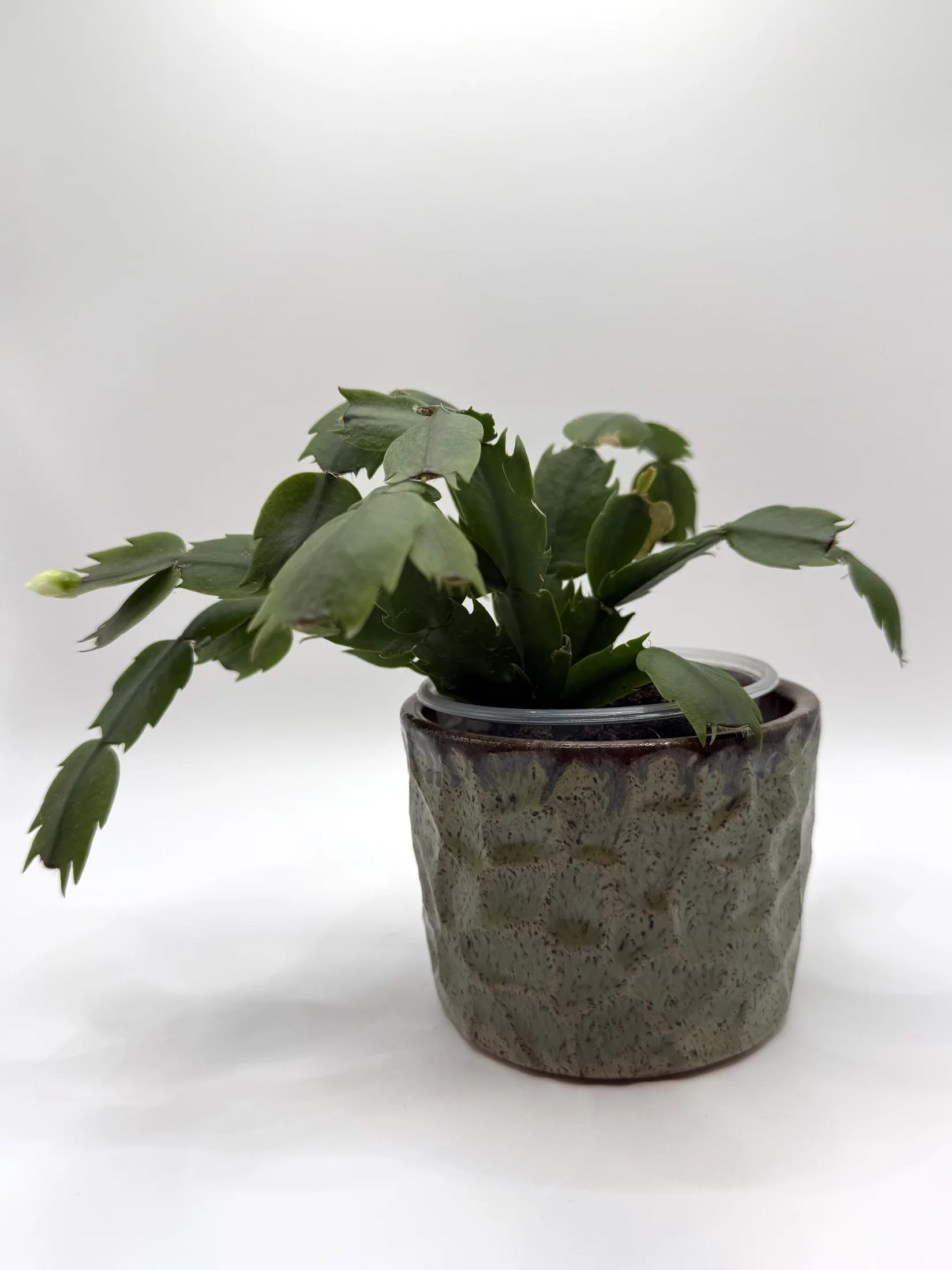 Ceramic Piece 113, view 1